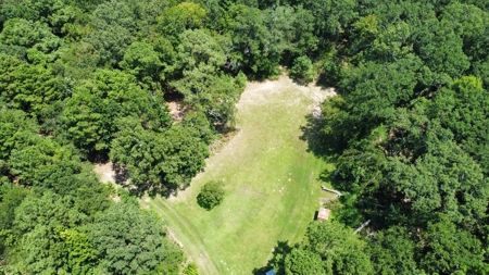 East TX Recreational Hunting Land for Sale near Tyler TX Smith Co - image 5