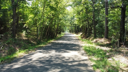 East TX Recreational Hunting Land for Sale near Tyler TX Smith Co - image 16
