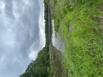 East TX Recreational Hunting Land for Sale near Tyler TX Smith Co - image 23