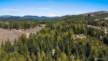 Off-Grid Cabin in Gifford Pinchot Near Reservoirs - image 16