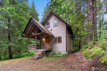 Off-Grid Cabin in Gifford Pinchot Near Reservoirs - image 2
