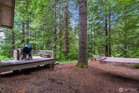 Off-Grid Cabin in Gifford Pinchot Near Reservoirs - image 7
