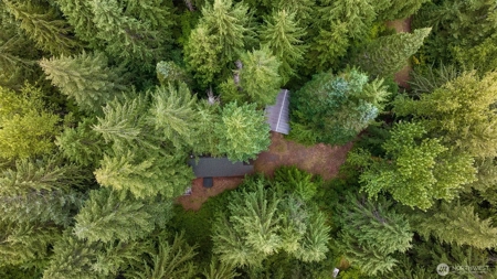 Off-Grid Cabin in Gifford Pinchot Near Reservoirs - image 20