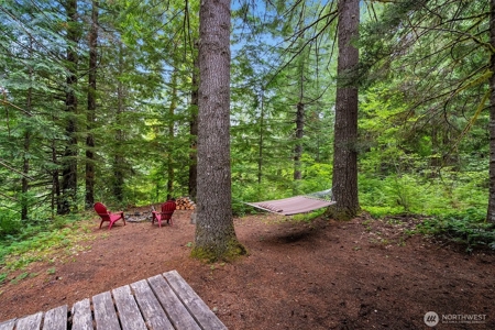 Off-Grid Cabin in Gifford Pinchot Near Reservoirs - image 26