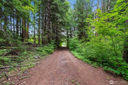 Off-Grid Cabin in Gifford Pinchot Near Reservoirs - image 10