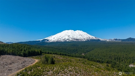 Off-Grid Cabin in Gifford Pinchot Near Reservoirs - image 31