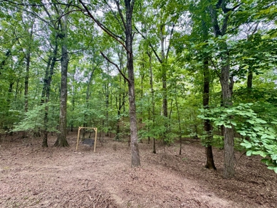 Country Charm Just Minutes from Booneville, MS - image 31