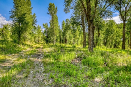 Chama Riverfront Home on Acreage with Scenic Railroad Views - image 13