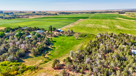 Your Own Slice of Hay-Producing Heaven - image 23