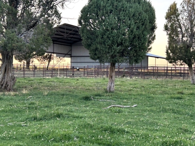 Your Own Slice of Hay-Producing Heaven - image 9