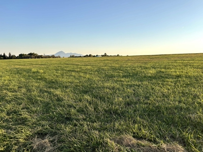 Your Own Slice of Hay-Producing Heaven - image 17