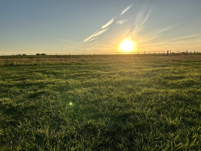 Your Own Slice of Hay-Producing Heaven - image 13