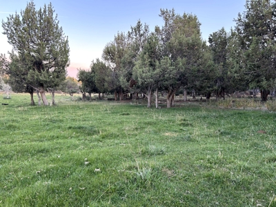 Your Own Slice of Hay-Producing Heaven - image 7