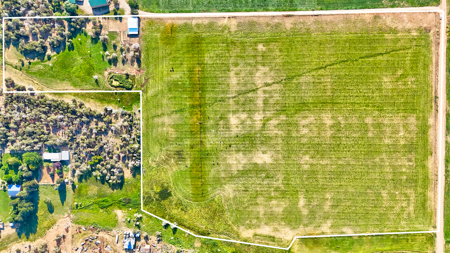 Your Own Slice of Hay-Producing Heaven - image 22