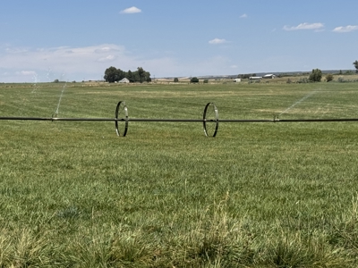 Your Own Slice of Hay-Producing Heaven - image 25