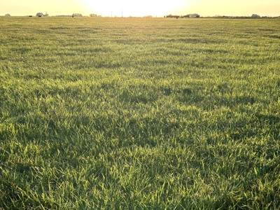 Your Own Slice of Hay-Producing Heaven - image 15