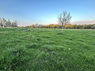 Your Own Slice of Hay-Producing Heaven - image 8