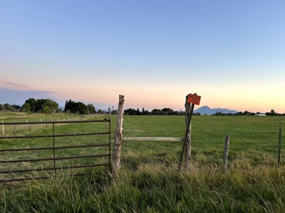 Your Own Slice of Hay-Producing Heaven - image 3