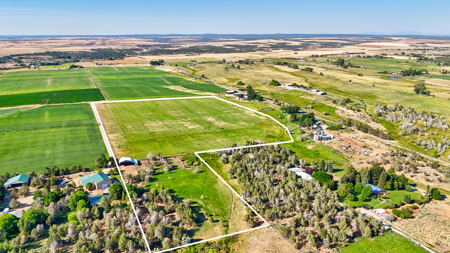 Your Own Slice of Hay-Producing Heaven - image 21