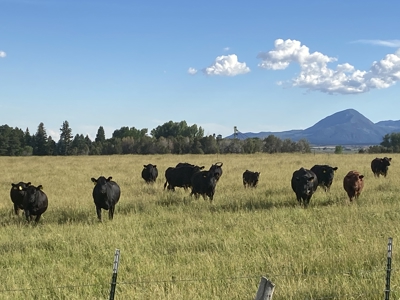 Your Own Slice of Hay-Producing Heaven - image 28