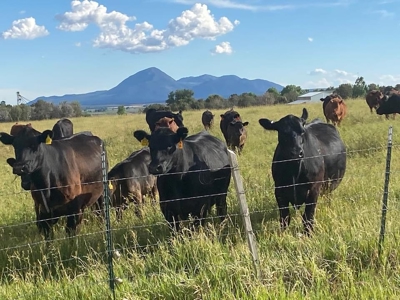 Your Own Slice of Hay-Producing Heaven - image 24