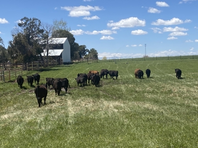 Your Own Slice of Hay-Producing Heaven - image 26