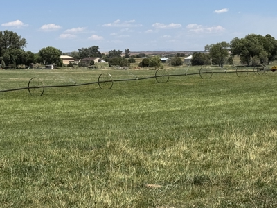 Your Own Slice of Hay-Producing Heaven - image 27