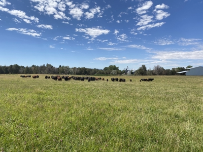 Your Own Slice of Hay-Producing Heaven - image 30