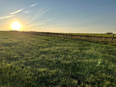 Your Own Slice of Hay-Producing Heaven - image 16