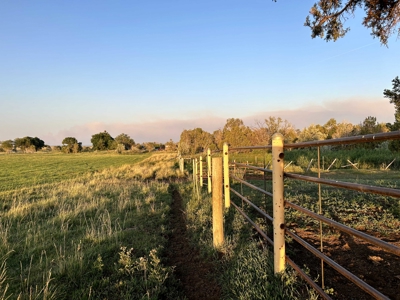 Your Own Slice of Hay-Producing Heaven - image 10