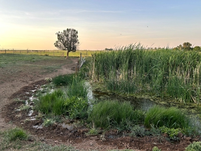 Your Own Slice of Hay-Producing Heaven - image 1