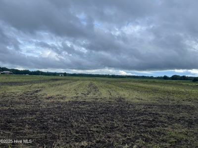 Land For Sale In Tyner North Carolina - image 2
