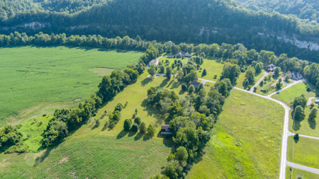 Dream Home in Rockhouse Trace Subdivision! - image 19