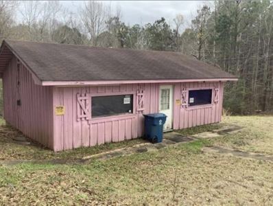 Commercial Land In Conecuh County, Evergreen AL - image 1