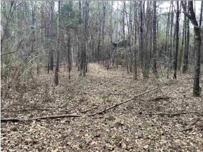 Commercial Land In Conecuh County, Evergreen AL - image 9