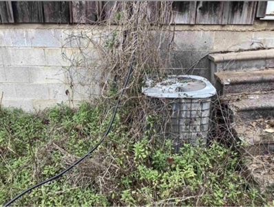 Commercial Land In Conecuh County, Evergreen AL - image 7