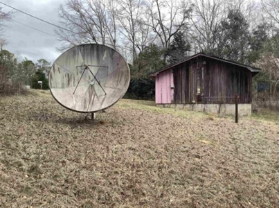 Commercial Land In Conecuh County, Evergreen AL - image 2