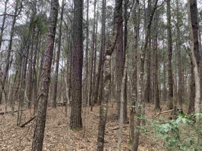 Commercial Land In Conecuh County, Evergreen AL - image 6