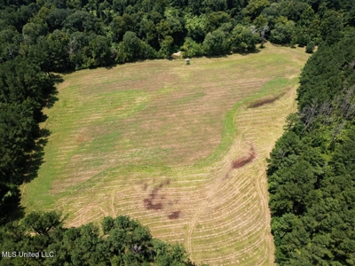 Petit Amite - Luxury Hunting Retreat in Amite County, MS - image 34