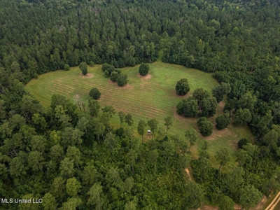 Petit Amite - Luxury Hunting Retreat in Amite County, MS - image 22