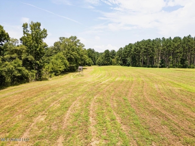 Petit Amite - Luxury Hunting Retreat in Amite County, MS - image 33