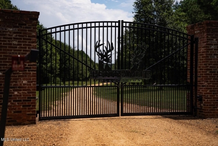 Petit Amite - Luxury Hunting Retreat in Amite County, MS - image 43