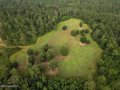 Petit Amite - Luxury Hunting Retreat in Amite County, MS - image 20