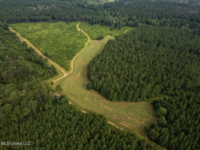 Petit Amite - Luxury Hunting Retreat in Amite County, MS - image 26