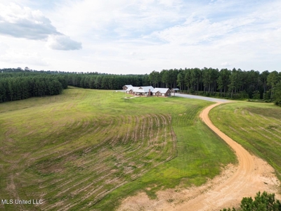 Petit Amite - Luxury Hunting Retreat in Amite County, MS - image 5