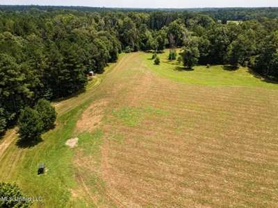 Petit Amite - Luxury Hunting Retreat in Amite County, MS - image 32