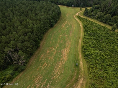 Petit Amite - Luxury Hunting Retreat in Amite County, MS - image 29