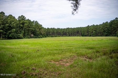 Petit Amite - Luxury Hunting Retreat in Amite County, MS - image 41