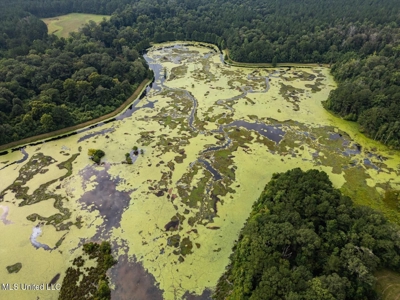 Petit Amite - Luxury Hunting Retreat in Amite County, MS - image 27