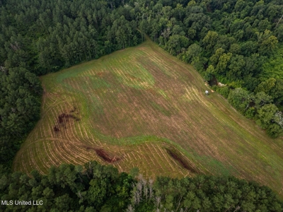 Petit Amite - Luxury Hunting Retreat in Amite County, MS - image 17
